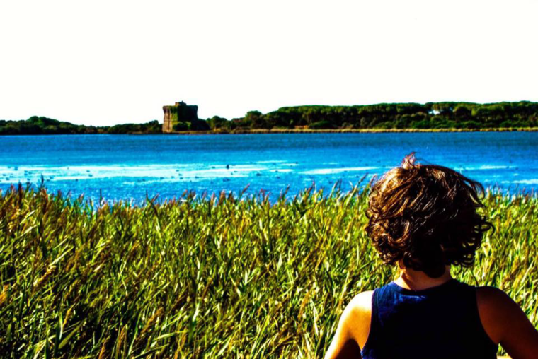 13903214_1043230709117931_6514291914049024126_n