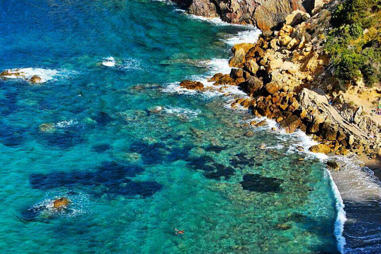 13921131_1043230809117921_8315120493177525499_n-copia