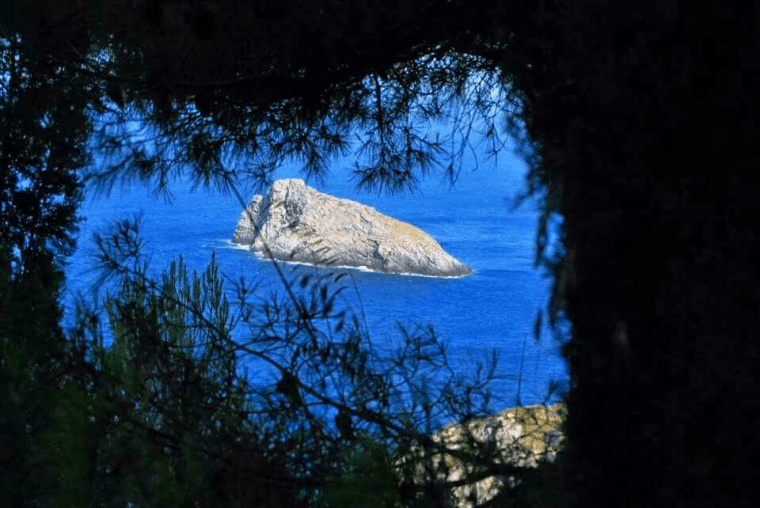 13934825_1043230779117924_690667431995027546_n