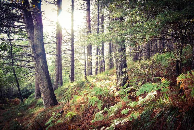 14543755_10210680592280421_1755133988652092173_o (1).jpg