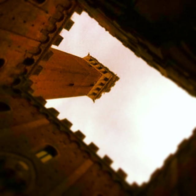 14721670_10210760334393924_441466458052385368_n